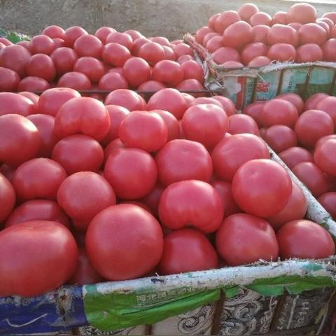 菌肥和复合肥能混用吗相关长尾关键词有哪些