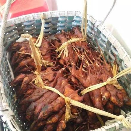 桂林的蟑螂相关长尾关键词有哪些