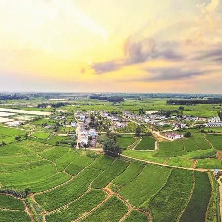 合肥肉厂拆迁相关长尾关键词有哪些