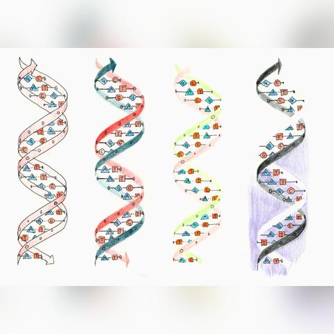 武汉全蝠宴的长尾关键词有什么