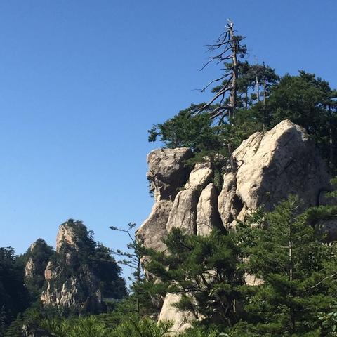 只有河南五一时间表的相关长尾关键词有哪些