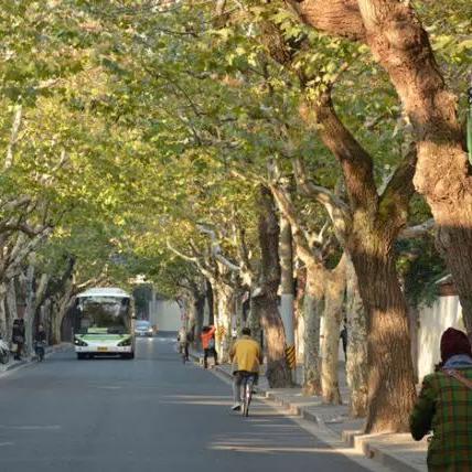 盘点在上海可以回家乡去吗相关关键词有哪些