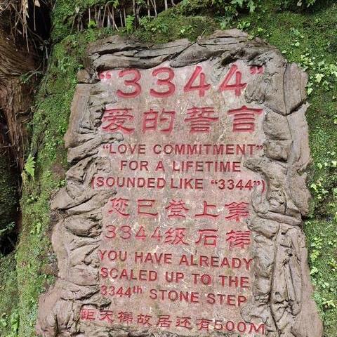 四川和重庆经济圈哪个好