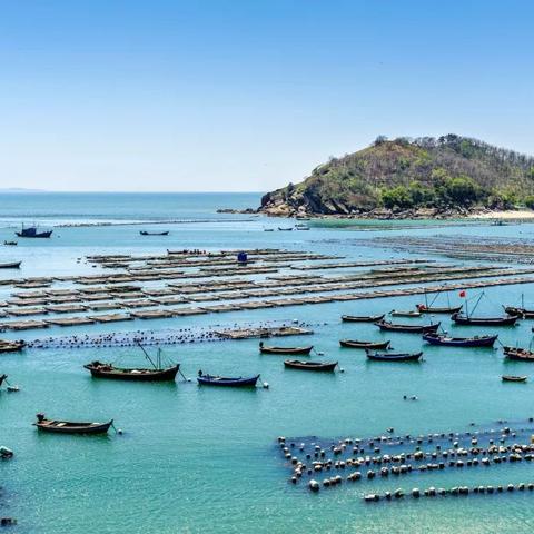 青岛距离厦门的相关长尾关键词有哪些