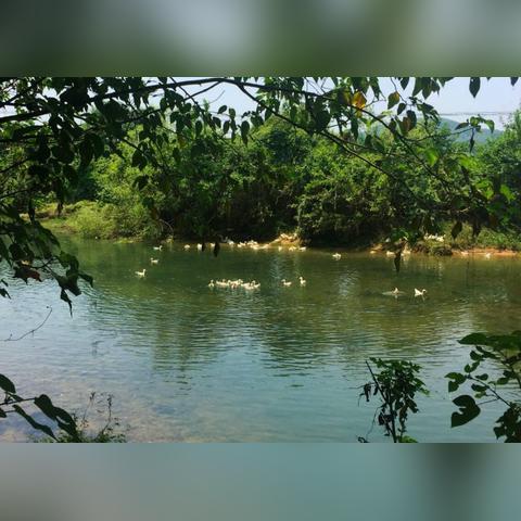 长沙市东北方位是哪个县