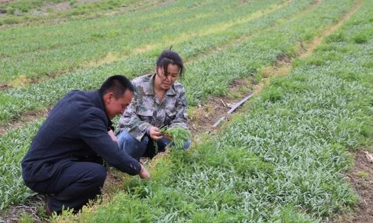 奋斗百年路启航新征程同心奔小康丨高秀虎：脱贫路上的追光者