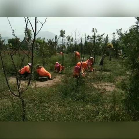 兰州环卫助力街道工作的相关长尾关键词有哪些