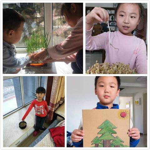 石家庄市疫苗管理时间的长尾关键词有哪些