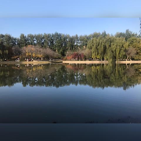 兰州市植物园哪里管的