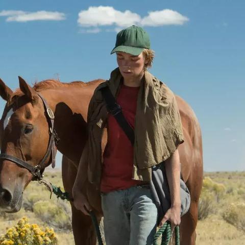 1月22日生肖马运势(12月28号属马人今日运势)