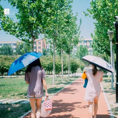 【天津师大可以进吗】长尾关键词有什么
