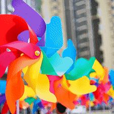 温州市哪里有观光农业