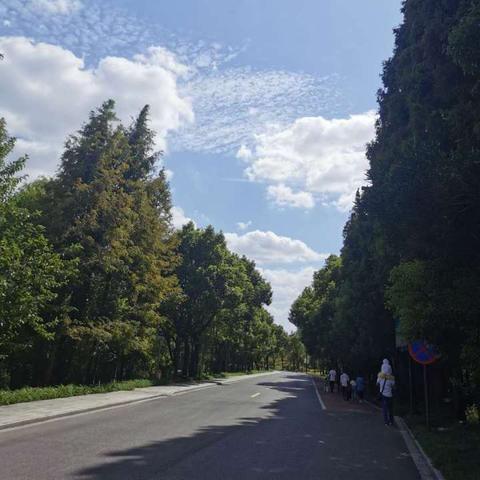 2025.11.28南通最新天气预报查询