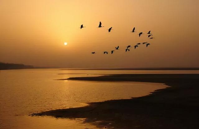 寒露三候是什么意思 寒露三候是什么意思