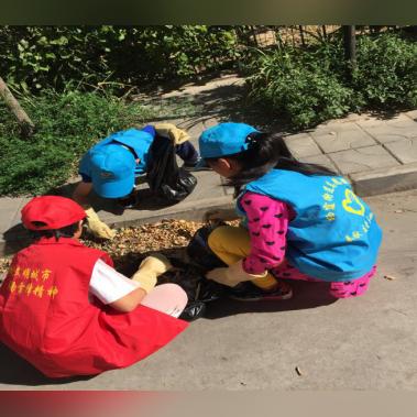 我的家园兰州作文的相关长尾关键词有哪些