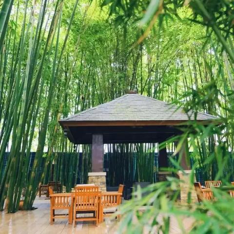 成都市区地铁附近民宿的长尾关键词有什么