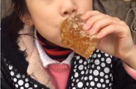 哪些食物怀孕前不能吃