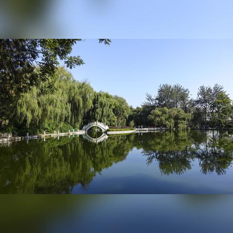 河南有什么阳