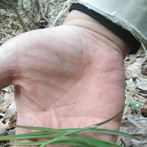 生肖猴的运势80年(属猴80年出生2021运势)