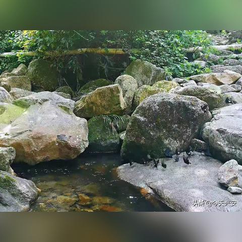 桂林市哪里可以教游泳