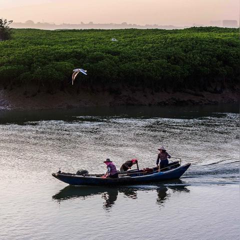 泉州市洛江区杨福安的长尾关键词有什么