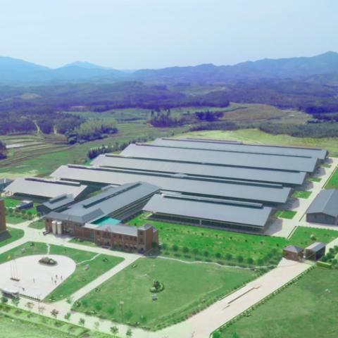 鲜奶哪个品牌最好福建