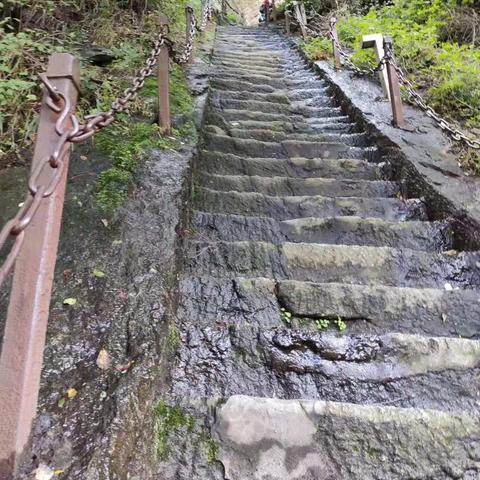 福建和西藏哪个大