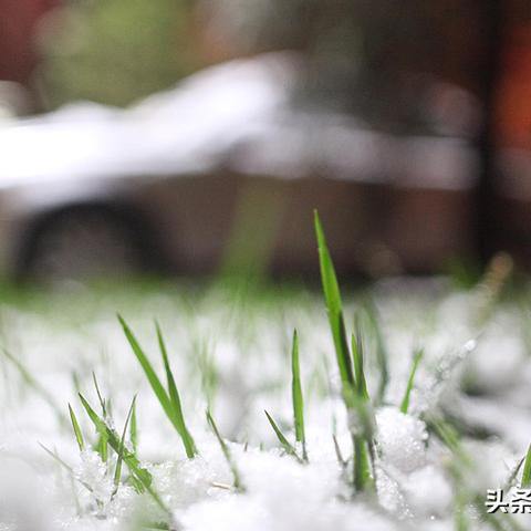 沈阳用电查询相关长尾关键词有哪些