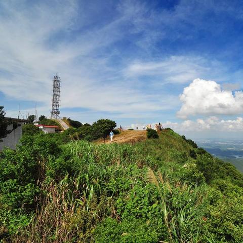 佛山市交通路线怎么记录