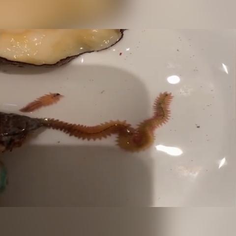 南通饭店餐盘价格表长尾关键词有什么