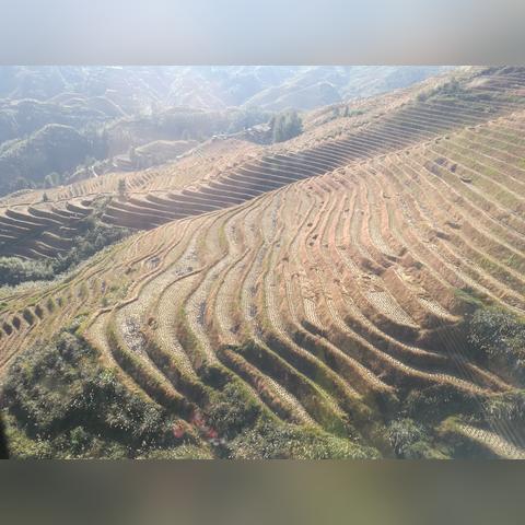 桂林到龙脊梯田怎么走相关长尾关键词有哪些