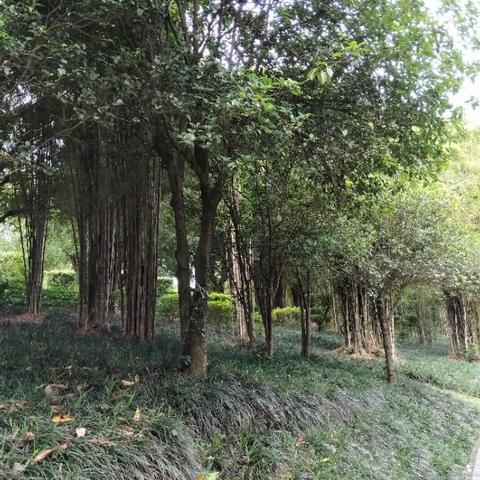 南宁市有哪个地方好玩的