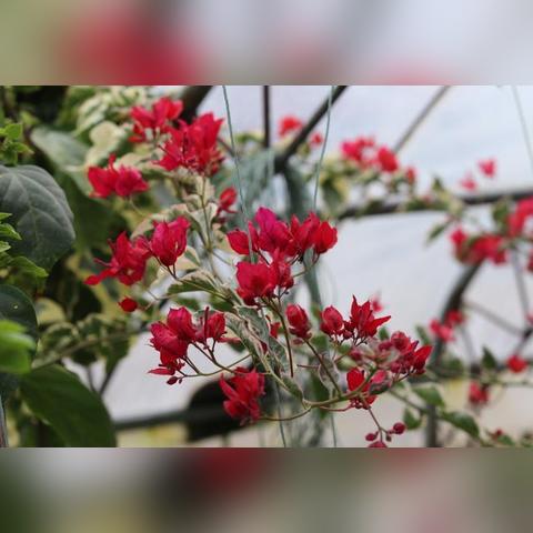 为什么北方气温低