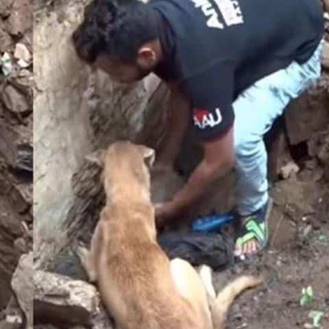 感人求救电影有哪些