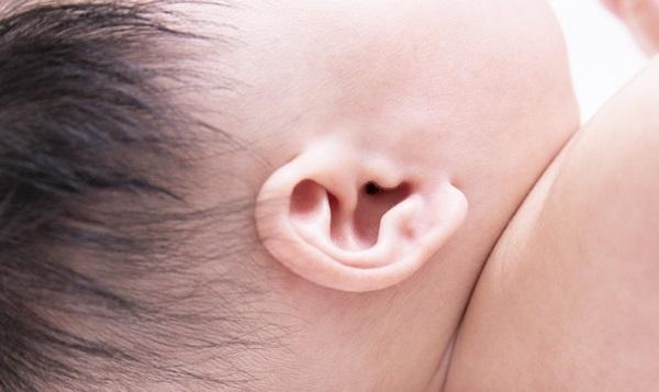 孕期什么会影响胎儿听力