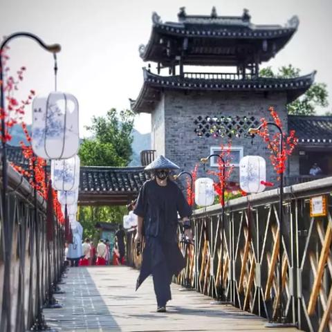 桂林市主要树木是什么