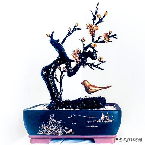 孝感到桂林大巴时刻表相关长尾关键词有哪些