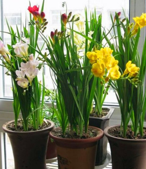 秋天不减肥冬天胖10斤