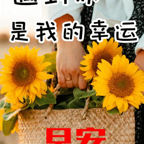 12生肖十一月运势(十二生肖11月运势2021)