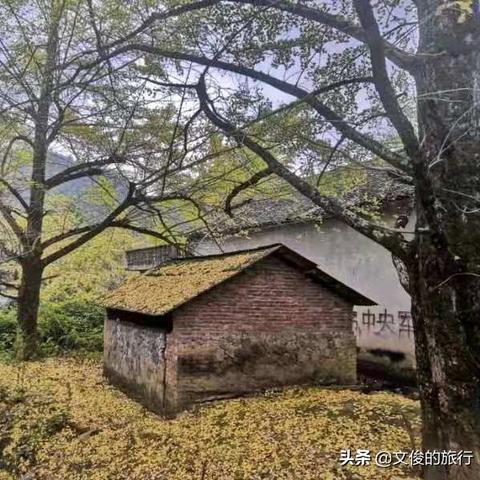 桂林市平乐县有什么乡