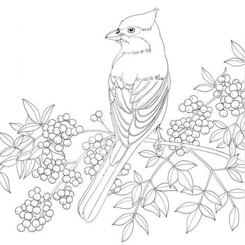 花线描画图片大全的长尾关键词有哪些