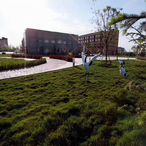 保定市2025体考的长尾关键词有什么