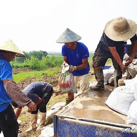 武汉市曲口属于什么区