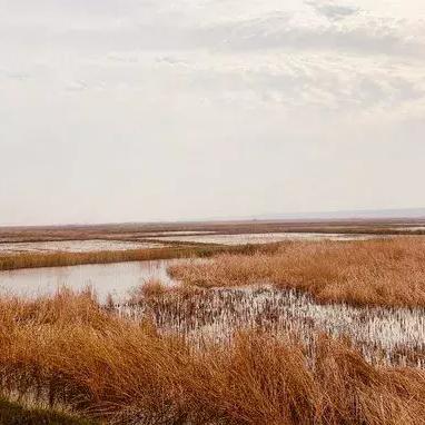 西安市天鹅学校怎么样