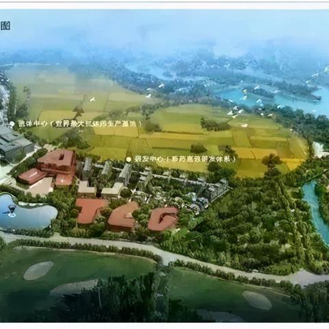 合肥市有多少家邻加医药店？