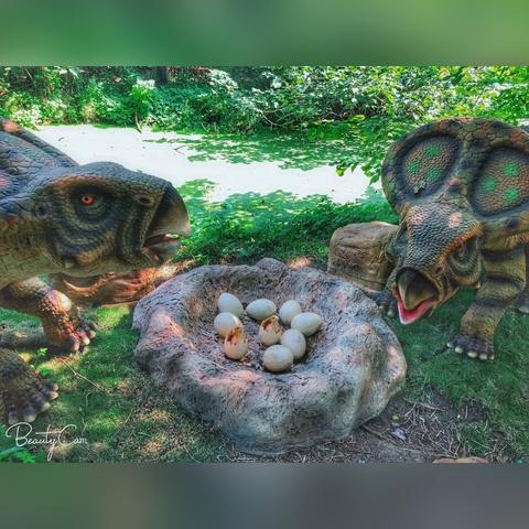 邯郸市鹿岛公园在哪里