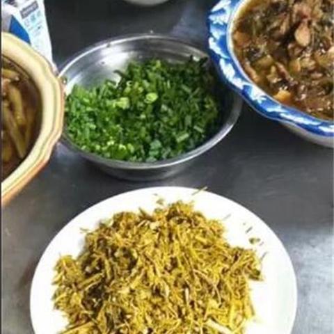 保定市哪里能挖野菜