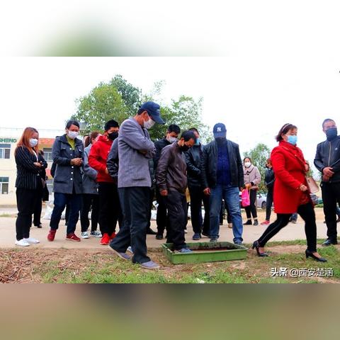 福建田间学校怎么样