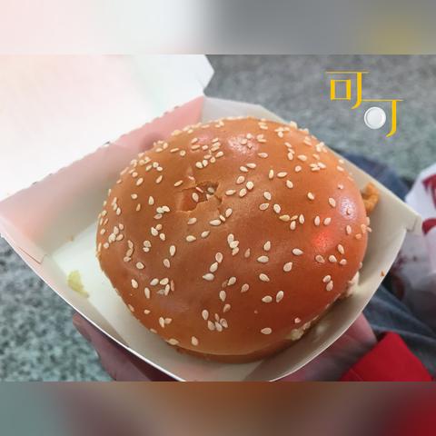 温州市租车公司在哪里