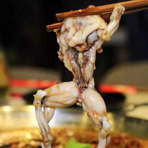 成都市区火锅美食有哪些的长尾关键词有什么